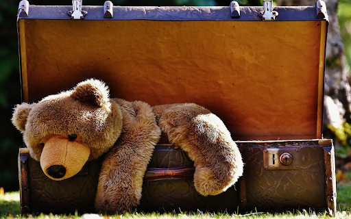 Souvenir suitcase with bear  from Chrome web store to be run with OffiDocs Chromium online