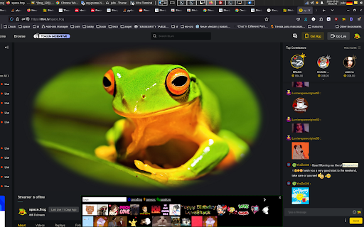 Spacefrog Stickers for Dlive.tv user chats  from Chrome web store to be run with OffiDocs Chromium online