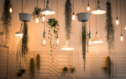 Sparkling string lights  from Chrome web store to be run with OffiDocs Chromium online