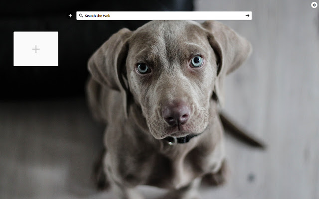Speed Dial Dogs  from Chrome web store to be run with OffiDocs Chromium online