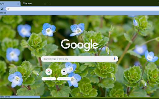 Speedwell  from Chrome web store to be run with OffiDocs Chromium online