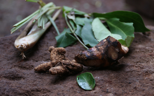 Spice root  from Chrome web store to be run with OffiDocs Chromium online