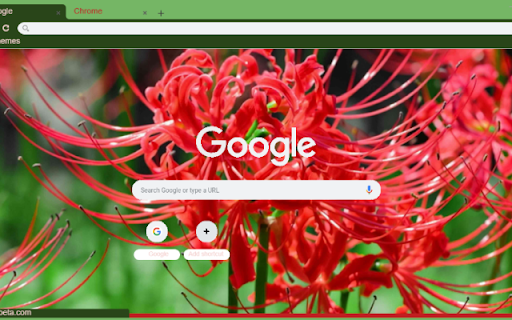 Spider Lily  from Chrome web store to be run with OffiDocs Chromium online