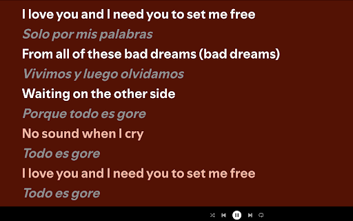 Spotify Lyrics Translator  from Chrome web store to be run with OffiDocs Chromium online