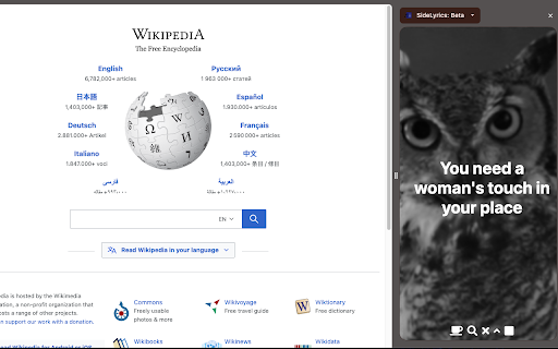Spotify Side Lyrics  from Chrome web store to be run with OffiDocs Chromium online