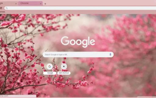 sppppring  from Chrome web store to be run with OffiDocs Chromium online