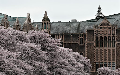 Spring at the Academy  from Chrome web store to be run with OffiDocs Chromium online
