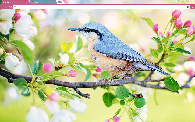 Spring Bird ze sklepu internetowego Chrome do uruchomienia z OffiDocs Chromium online