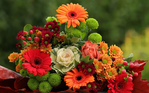 Spring blooming flowers  from Chrome web store to be run with OffiDocs Chromium online