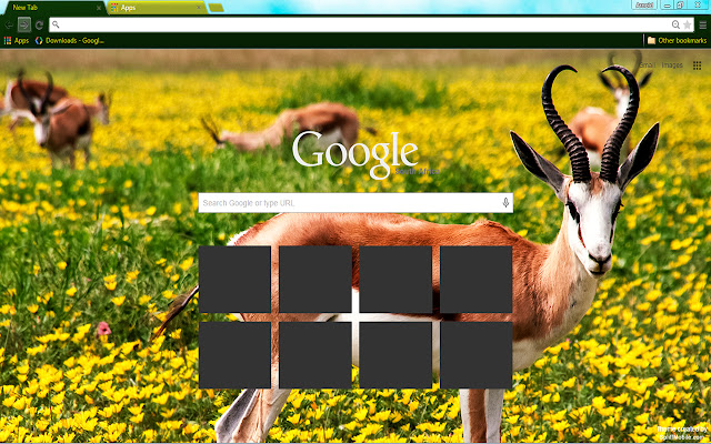 Springbok  from Chrome web store to be run with OffiDocs Chromium online