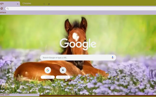 Spring Foal  from Chrome web store to be run with OffiDocs Chromium online