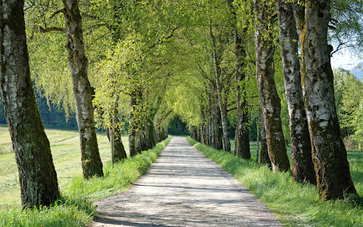 Spring road  from Chrome web store to be run with OffiDocs Chromium online