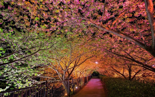 Spring theme 01  from Chrome web store to be run with OffiDocs Chromium online