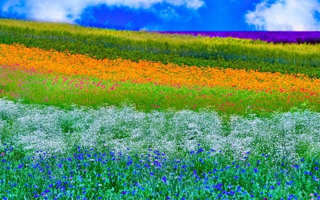 Spring Weather Brisbane  from Chrome web store to be run with OffiDocs Chromium online