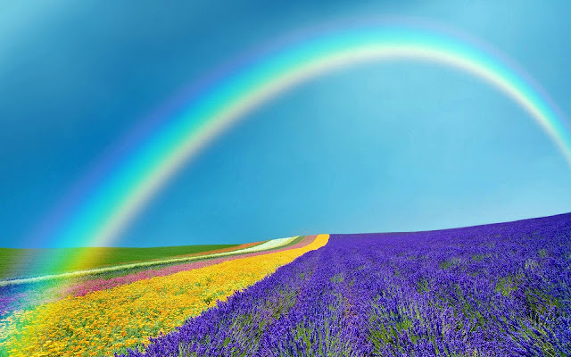 Spring Weather In Florida  from Chrome web store to be run with OffiDocs Chromium online