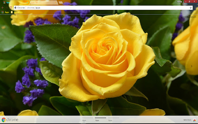 Spring Yellow Rose  from Chrome web store to be run with OffiDocs Chromium online