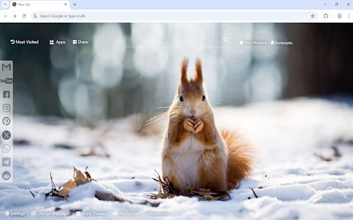 Squirrel Wallpaper  from Chrome web store to be run with OffiDocs Chromium online