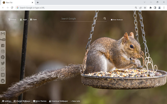 La nueva pestaña de Squirrel Wallpaper de la tienda web de Chrome se ejecutará con OffiDocs Chromium en línea