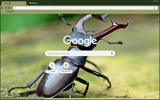 Stag Beetle  from Chrome web store to be run with OffiDocs Chromium online