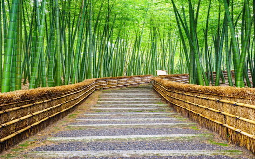 Stairs between bamboo forest Wallpaper  from Chrome web store to be run with OffiDocs Chromium online