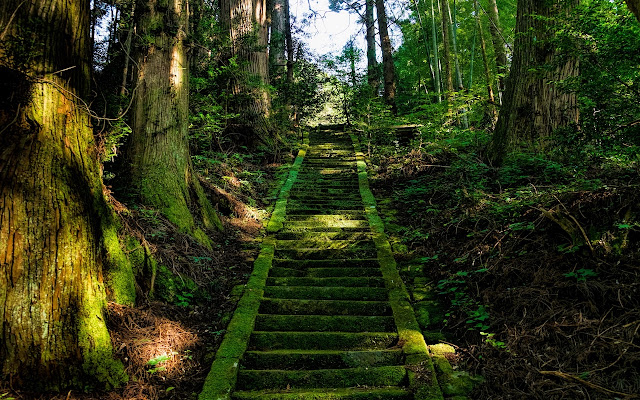 Stairs Moss Trees  from Chrome web store to be run with OffiDocs Chromium online