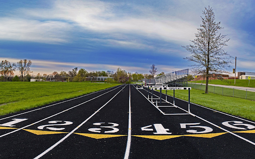 starting line  from Chrome web store to be run with OffiDocs Chromium online