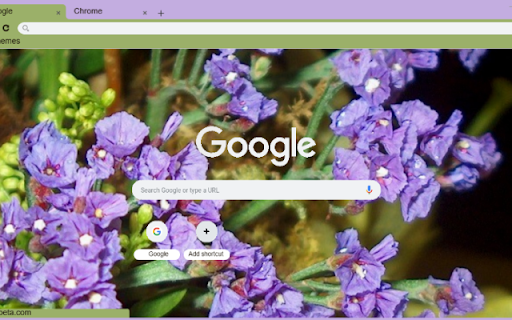 Statice Blue from Chrome web store to be run with OffiDocs Chromium online Statice Blue from Chrome web store to be run with OffiDocs Chromium online