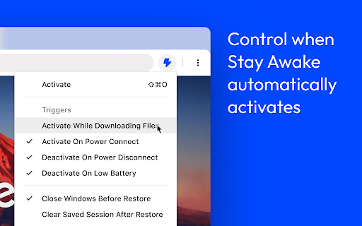 Stay Awake: Keep Your Computer Awake  from Chrome web store to be run with OffiDocs Chromium online