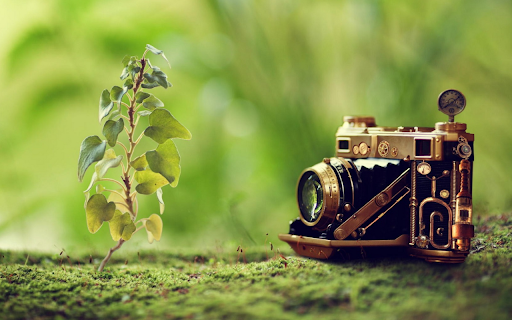 Steampunk Flora  from Chrome web store to be run with OffiDocs Chromium online