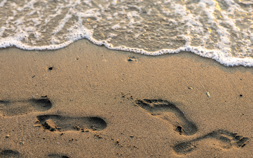 Stepping on the sand  from Chrome web store to be run with OffiDocs Chromium online