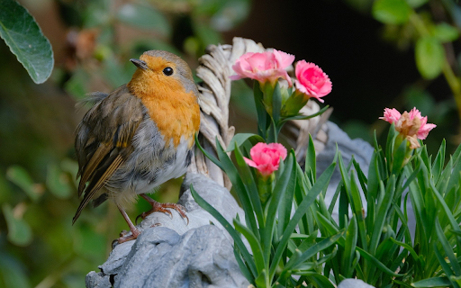 Stone birds and flowers  from Chrome web store to be run with OffiDocs Chromium online