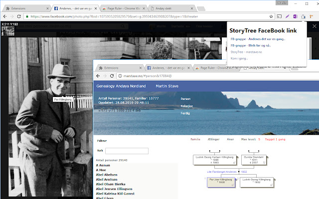 StoryTree FB link  from Chrome web store to be run with OffiDocs Chromium online