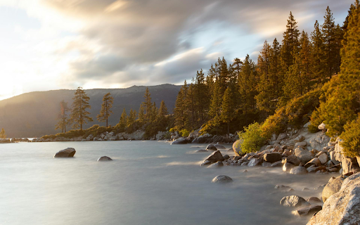Stream and Forest  from Chrome web store to be run with OffiDocs Chromium online