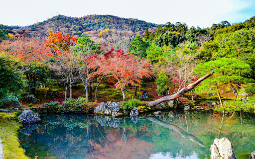 Stream in a Park in Kyoto  from Chrome web store to be run with OffiDocs Chromium online