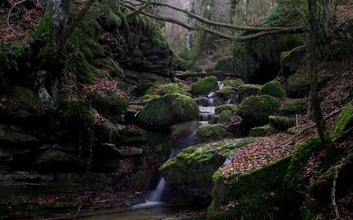 streams and mossy rocks  from Chrome web store to be run with OffiDocs Chromium online