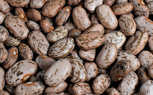 Striped brown beans  from Chrome web store to be run with OffiDocs Chromium online