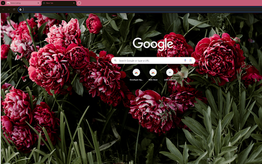 stunning bush of blooming purple roses  from Chrome web store to be run with OffiDocs Chromium online