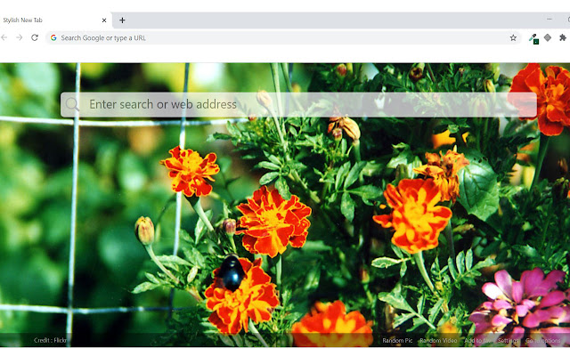 Stylish New Tab Wallpaper /Video Background  from Chrome web store to be run with OffiDocs Chromium online