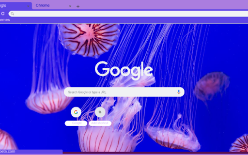 Sua  from Chrome web store to be run with OffiDocs Chromium online