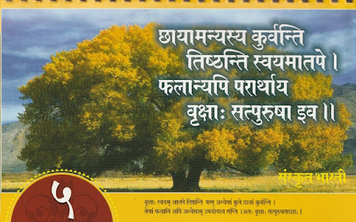 subhASitam । सुभाषितम् ।  from Chrome web store to be run with OffiDocs Chromium online