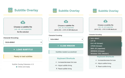 Subtitle Overlay  from Chrome web store to be run with OffiDocs Chromium online