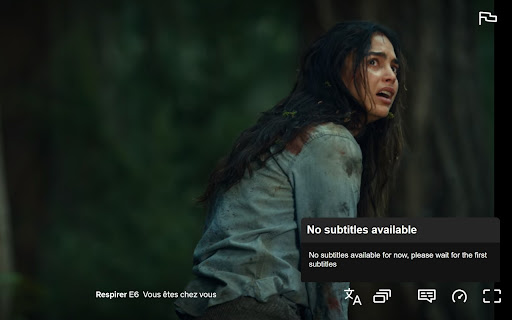 Subtitle Translator Netflix  from Chrome web store to be run with OffiDocs Chromium online