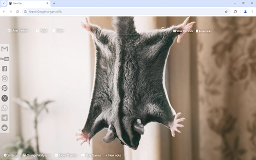 Sugar Glider Wallpaper  from Chrome web store to be run with OffiDocs Chromium online