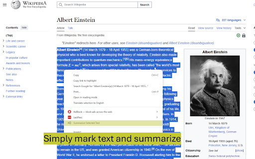 SummarAIze: AI Text Summarizer  from Chrome web store to be run with OffiDocs Chromium online
