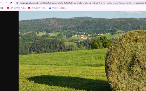 Summer Hayfield from Chrome web store to be run with OffiDocs Chromium online Summer Hayfield from Chrome web store to be run with OffiDocs Chromium online
