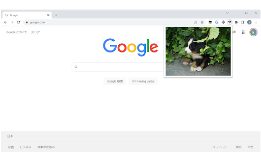 SummonDog  from Chrome web store to be run with OffiDocs Chromium online