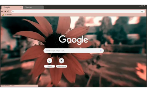 sunflower2  from Chrome web store to be run with OffiDocs Chromium online