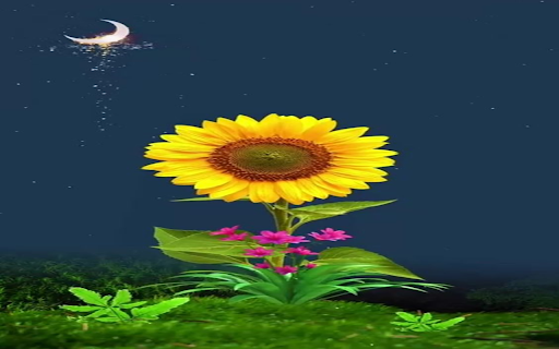 Sunflower and moon wallpaper  from Chrome web store to be run with OffiDocs Chromium online