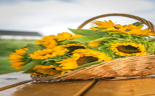 Sunflower basket wallpaper  from Chrome web store to be run with OffiDocs Chromium online