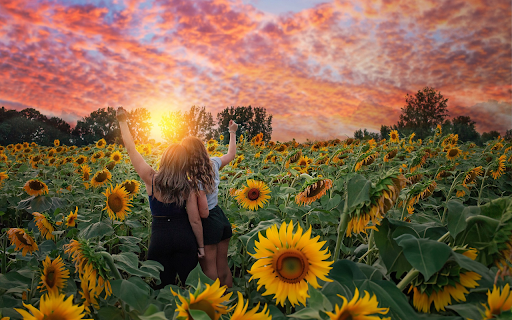 Sunflower girl and sun  from Chrome web store to be run with OffiDocs Chromium online